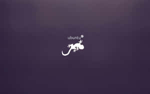 Ubuntu標誌，紫色漸變背景上有白色壁虎。