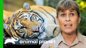 一位動物園管理員喺紀錄片風格嘅場景中，喺一隻大老虎旁邊講嘢。
