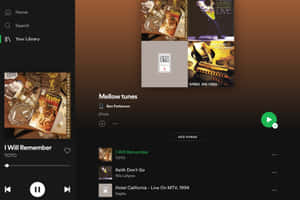 Spotify 播放清單畫面，顯示「Mellow tunes」，包含 Toto 和 Eagles 的歌曲。