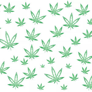 白色背景上的綠色大麻葉圖案 — 圖案 壁紙