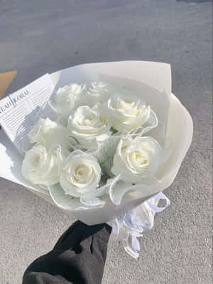 手在路面上拿著白玫瑰花束 — 唯美花朵動圖 壁紙