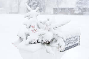積雪的常綠樹枝上掛著紅色漿果，旁邊是冬日郵箱。