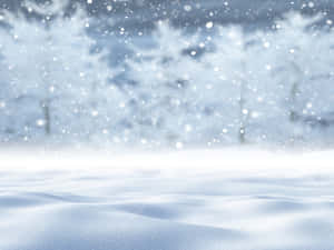 被雪覆蓋的地面，飄落的雪花和背景中模糊的樹木。
