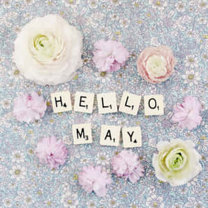 由拼字遊戲字母塊組成的 Hello May 文字，被花卉背景上的柔和色調花朵環繞。