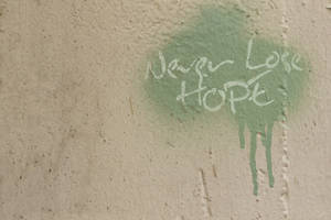 塗鴉訊息 never lose hope 以白色繪製，帶有綠色滴落效果在粗糙牆面上 — 鼓舞人心的 壁紙