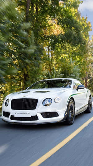 白色賓利 Continental GT3R 在陽光明媚的秋日森林中奔馳。 — 汽車 壁紙