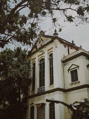 一座歷史建築，油漆剝落，拱形窗戶被樹木和前景的單車把手環繞。
