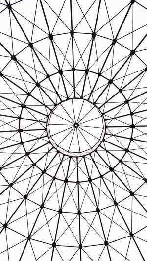 白色背景上具有徑向對稱的黑色幾何格柵圖案