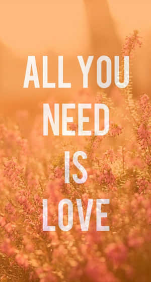 文字疊加，寫著「All You Need Is Love」，在金色光芒中的粉紅色花朵上。
