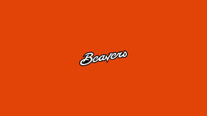 橙色背景上帶有白色草書文字 Beavers
