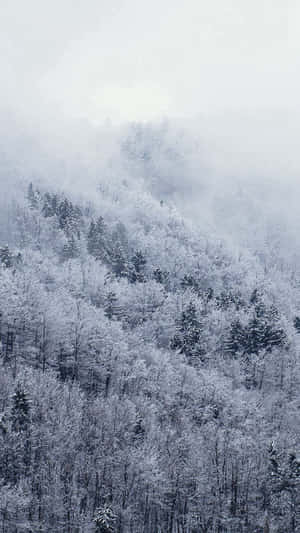 霧氣瀰漫的冬日，白雪覆蓋的森林，柔和的藍色和灰色調。