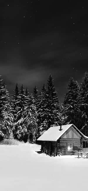 在繁星點點的夜空下，雪林中的舒適小屋。