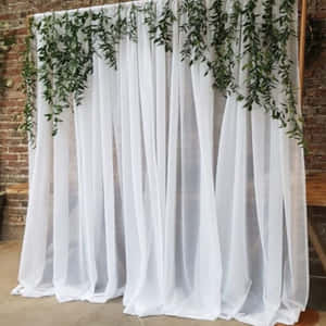白色薄紗窗簾背景，搭配磚牆上的綠色藤蔓。