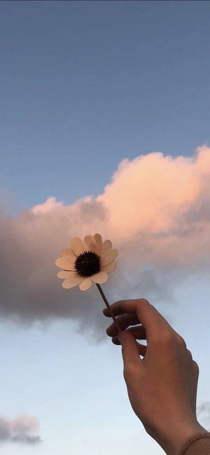 手拿著向日葵，背景是帶有雲彩的粉彩黃昏天空。 — iPhone Xr 壁紙