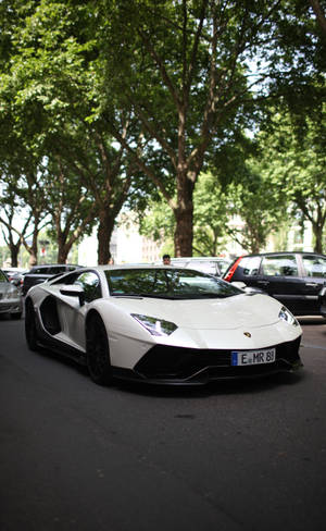 白色林寶堅尼Aventador停泊在綠樹成蔭的城市街道上。 — Galaxy Tab S10 Ultra 壁紙