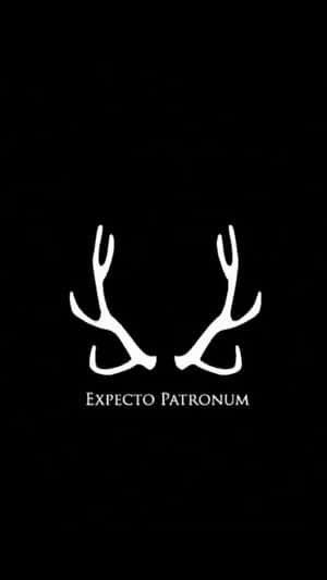 黑色背景上的白色鹿角與文字 Expecto Patronum。 — 魔法 GIF 壁紙