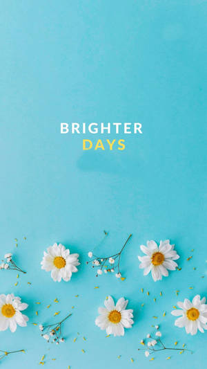 白色雛菊和滿天星在綠松石背景上，附有 brighter days 文字。 — 明亮 壁紙