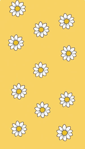 散落的白色雛菊帶黃色花心，在芥末黃色背景上。 — 黃色美學 壁紙