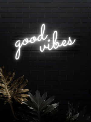 白色霓虹燈牌寫著 good vibes，位於深色磚牆上，配有熱帶葉子。