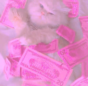 Girly Money