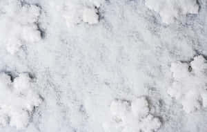 雪花落在冬天的冰地上