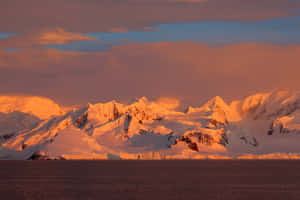 白雪皚皚的南極山峰沐浴在金色夕陽下，映照在平靜的水面上。 — MacBook Pro 16 壁紙