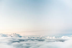 白雪覆蓋的山峰在晴朗的天空下從雲海中浮現。 — 天空景觀 壁紙