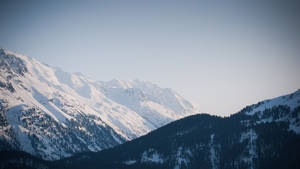 白雪覆蓋的山脈和常綠樹木，在清澈的藍天下