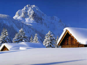 白雪覆蓋的山間小屋，四周環繞著常青樹，天空湛藍清澈。 — 冬天桌面 壁紙
