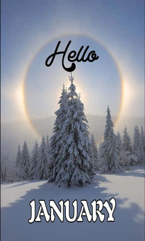 白雪覆蓋的松樹在太陽光環下，寫著「Hello JANUARY」。 — Galaxy Tab A 壁紙