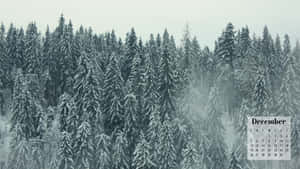 十二月日曆疊加在白雪覆蓋的常綠森林場景上。 — 十二月 GIF 壁紙