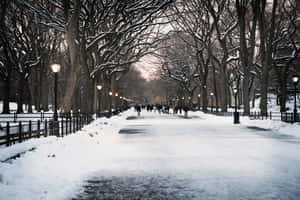 白雪覆蓋的公園小徑，光禿禿的樹木，以及人們在黃昏時分於點亮的路燈下行走。 — 冬天桌面 壁紙