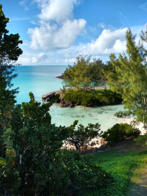 熱帶海灘海灣，有碧綠的海水和綠樹，在晴朗的天空下。