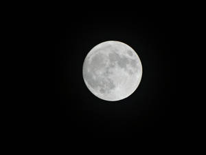 滿月，黑色天空中可見隕石坑