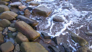 海浪拍打岩石海岸線上濕漉漉的岩石 — 石頭 壁紙