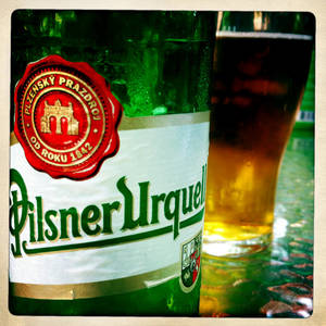 冰凍的 Pilsner Urquell 啤酒瓶和一杯啤酒在吧枱上。