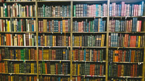 一排排帶有華麗書脊的復古書籍放在圖書館的木製書架上。