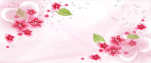 粉紅色的櫻花、綠葉和露珠在柔和的漸變背景上。 — 3440x1440 壁紙