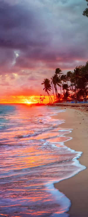 熱帶海灘上的夕陽，棕櫚樹和拍岸的海浪。 — 紫色花朵 壁紙