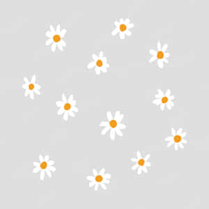 灰色背景上分散的白色雛菊帶有橙色花心。 — iPad (A16) 壁紙