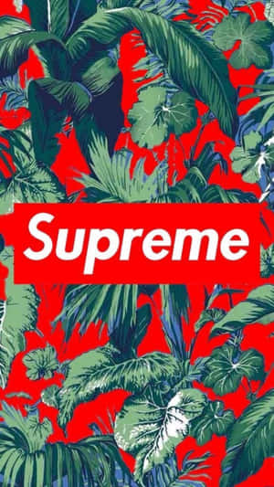 紅色背景和白色Supreme標誌的熱帶葉片圖案。