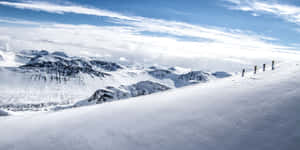 四位滑雪者在晴朗的藍天下攀登雪白的山坡。
