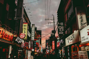 霓虹招牌照亮黃昏時分擁擠的韓國街道。