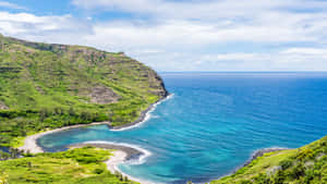 海岸海灣，碧綠的海水和綠色懸崖，在藍天下。 — 夏威夷 壁紙