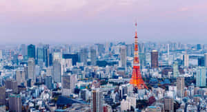 夕陽下東京鐵塔照亮廣闊的城市景觀。