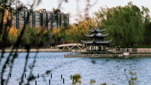 湖上的傳統中式亭閣，樹後有橋樑和現代建築。