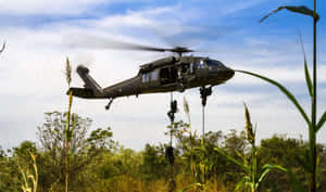 黑色軍用直升機，士兵沿繩索下降至高高的草地上，藍天之下。
