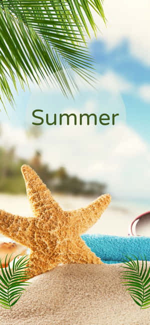 沙灘上的海星，配有棕櫚葉和夏季文字 — 夏日氣息 壁紙