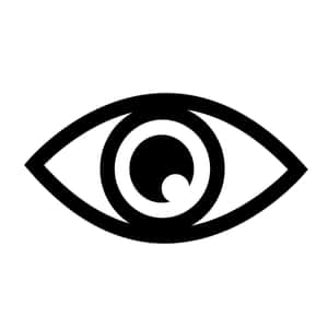 黑白極簡眼睛圖標