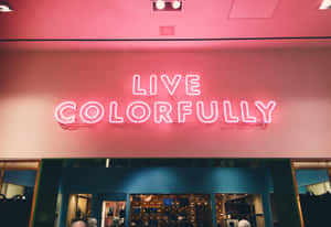 粉紅色霓虹燈牌，上面寫著「Live Colorfully」，位於藍綠色店鋪入口上方。 — 勵志語錄 壁紙